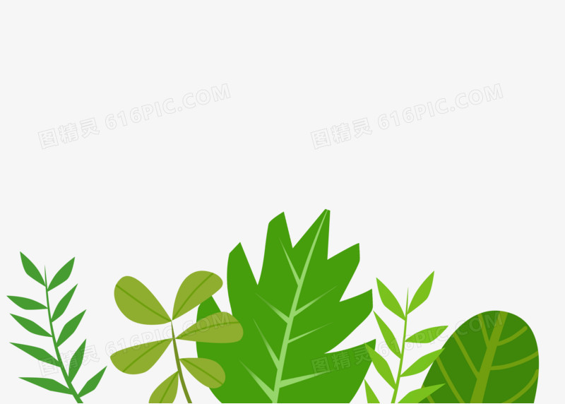 元素叶子小清新手绘树叶植物枫叶简约装饰绿色水彩小草