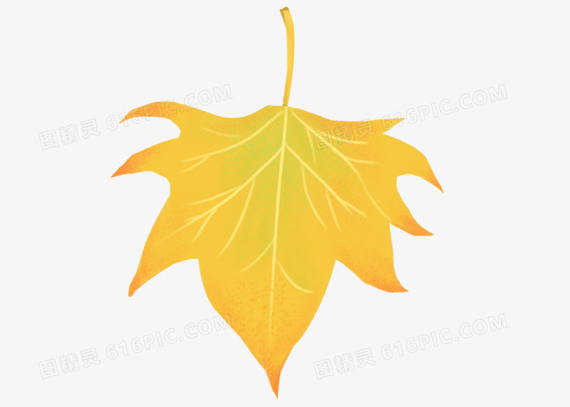 元素叶子小清新手绘树叶植物枫叶简约装饰黄色水彩绿植