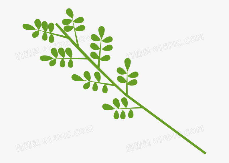 元素叶子手绘树叶植物枫叶简约装饰黄色水彩绿植