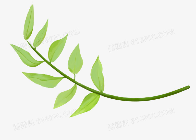 元素叶子小清新手绘树叶植物枫叶简约装饰绿色水彩绿叶绿草