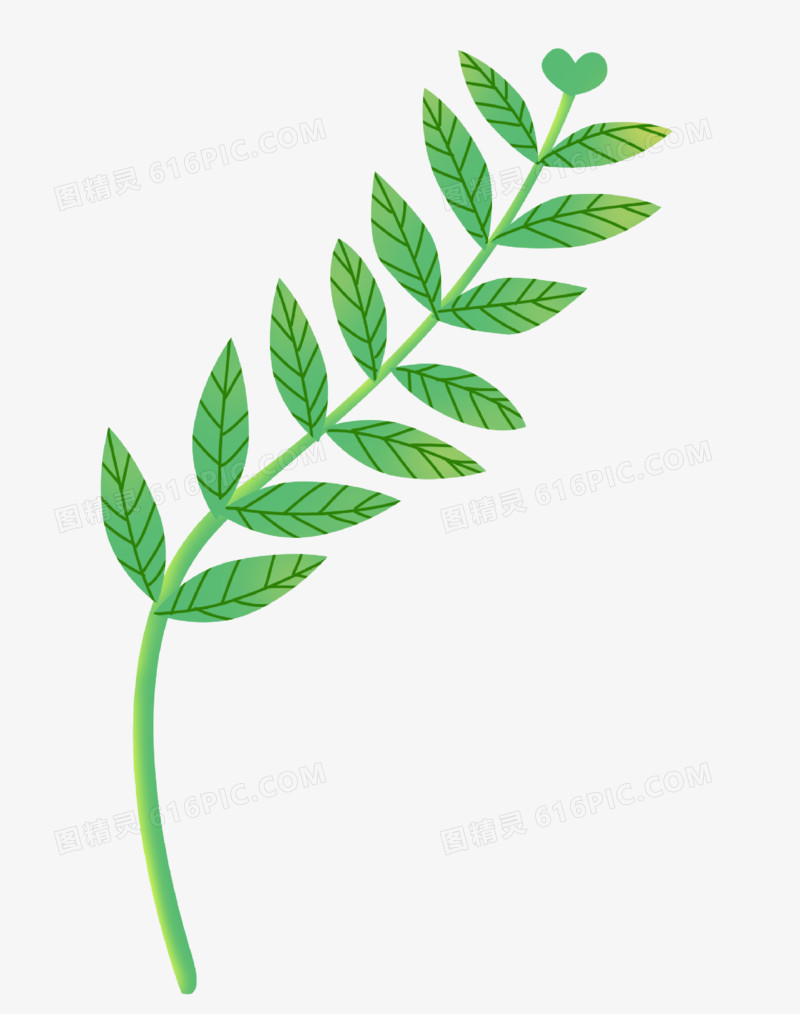 通用夏天立夏卡通手绘绿色系植物叶子绿植元素