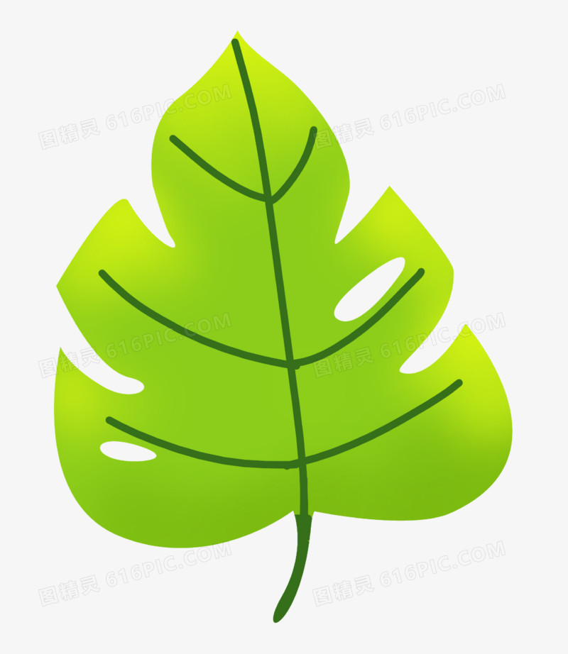 通用夏天立夏卡通手绘绿色系植物叶子元素