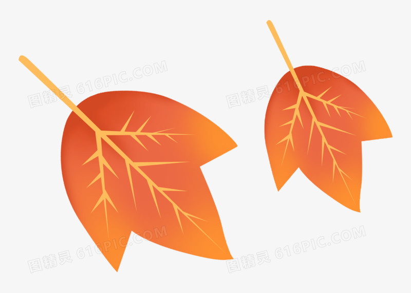 通用秋天立秋秋分枫叶卡通手绘植物叶子元素