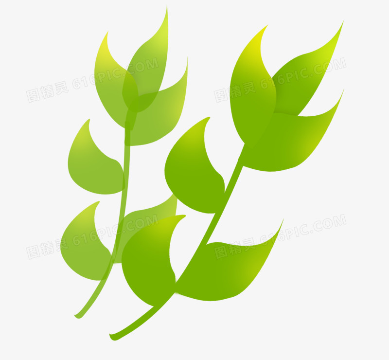 夏天卡通手绘绿色系植物叶子绿植元素装饰