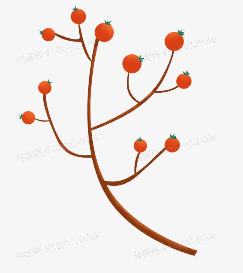 通用秋天立秋秋分卡通手绘植物小果子小元素