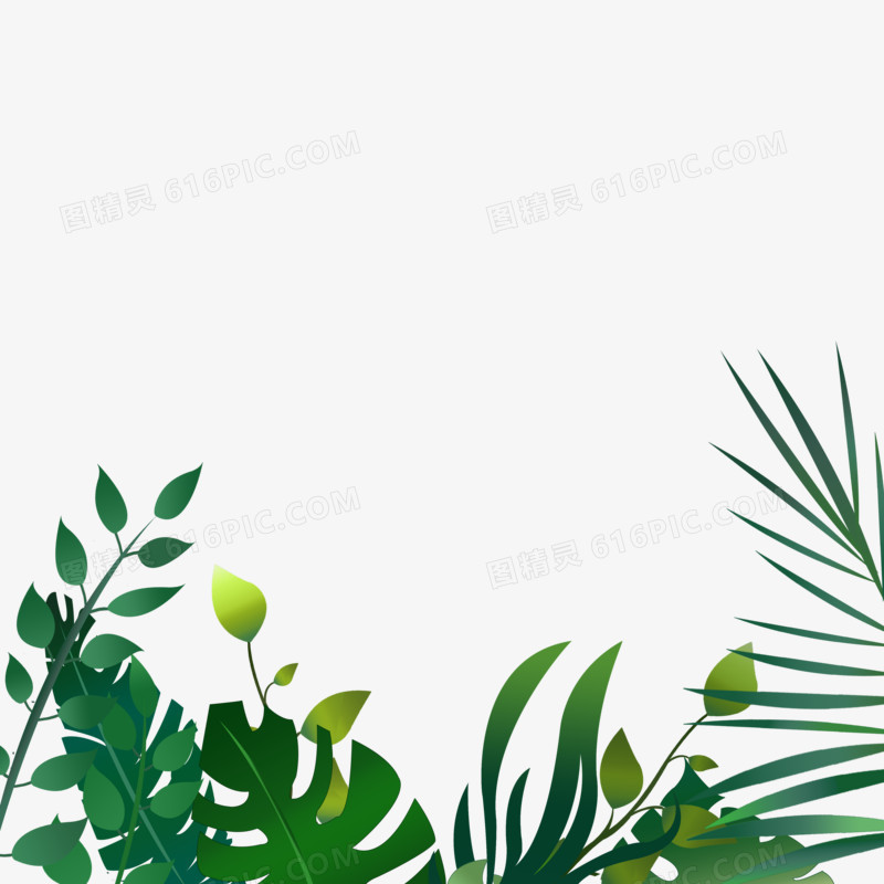 绿叶树叶元素素材