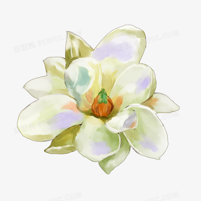 手绘花朵兰花鲜花一朵朵