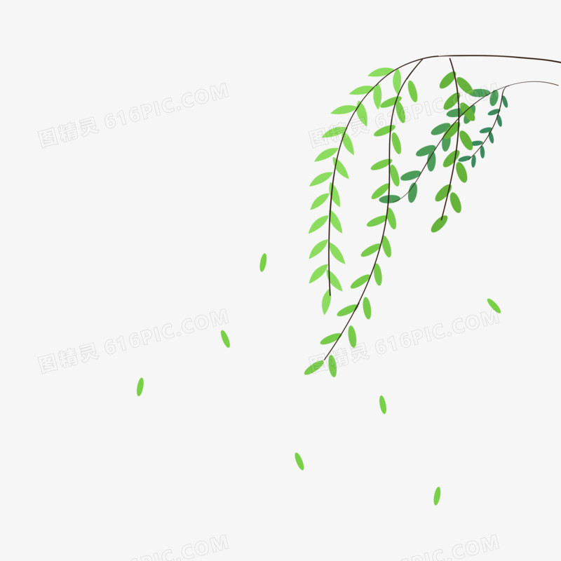 绿色树枝柳枝插画元素