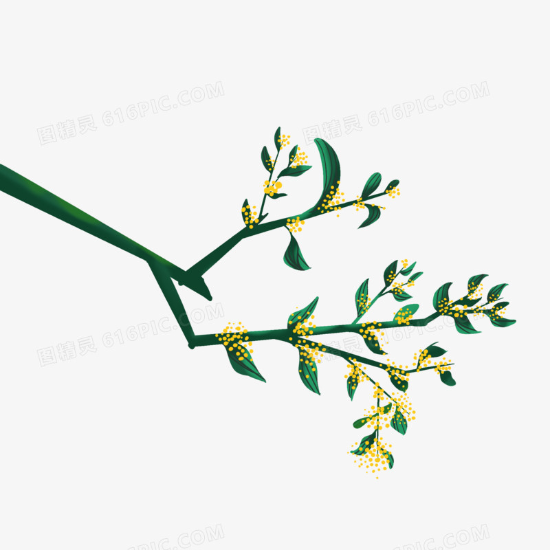 花朵树枝免抠元素