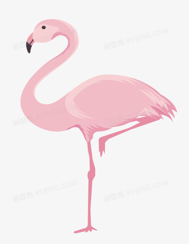 火烈鸟矢量插画元素