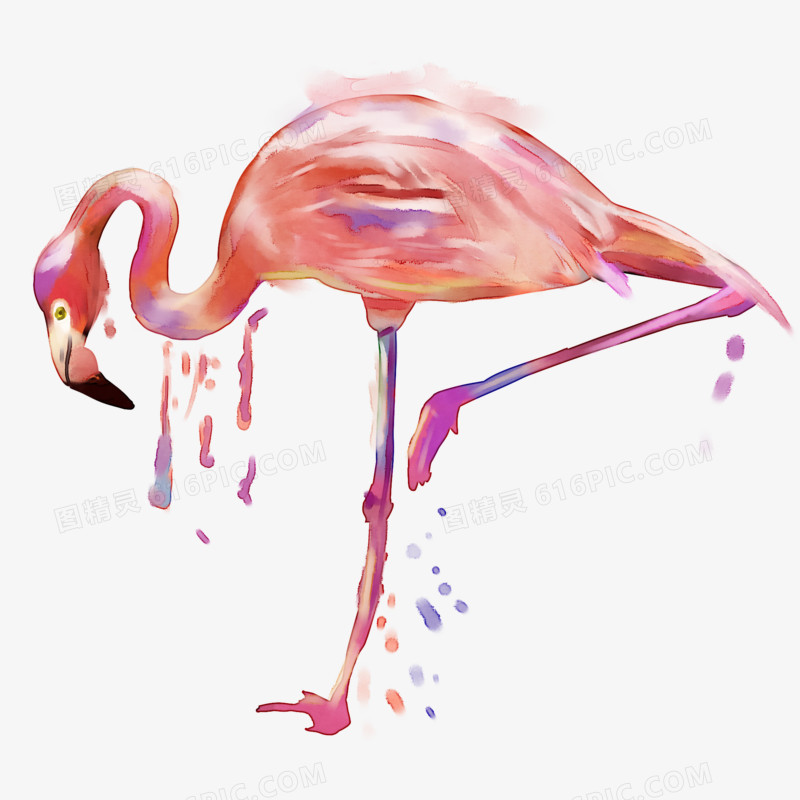 手绘水彩火烈鸟素材梦幻