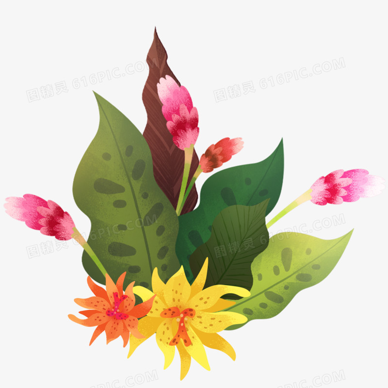 花丛花朵美丽花朵