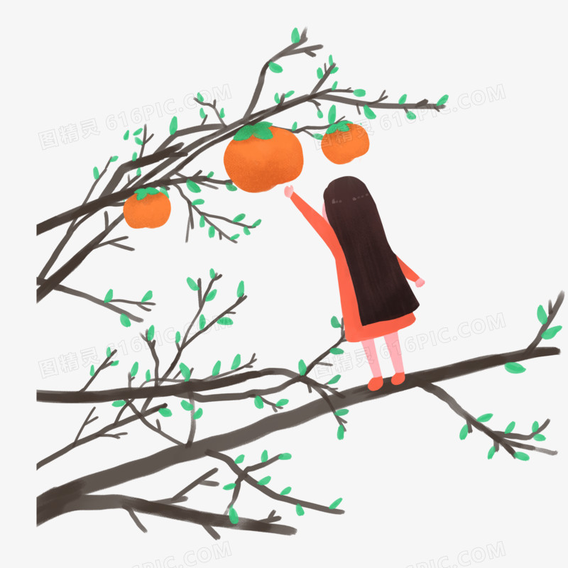 手绘卡通霜降之在柿子树上的小姑娘