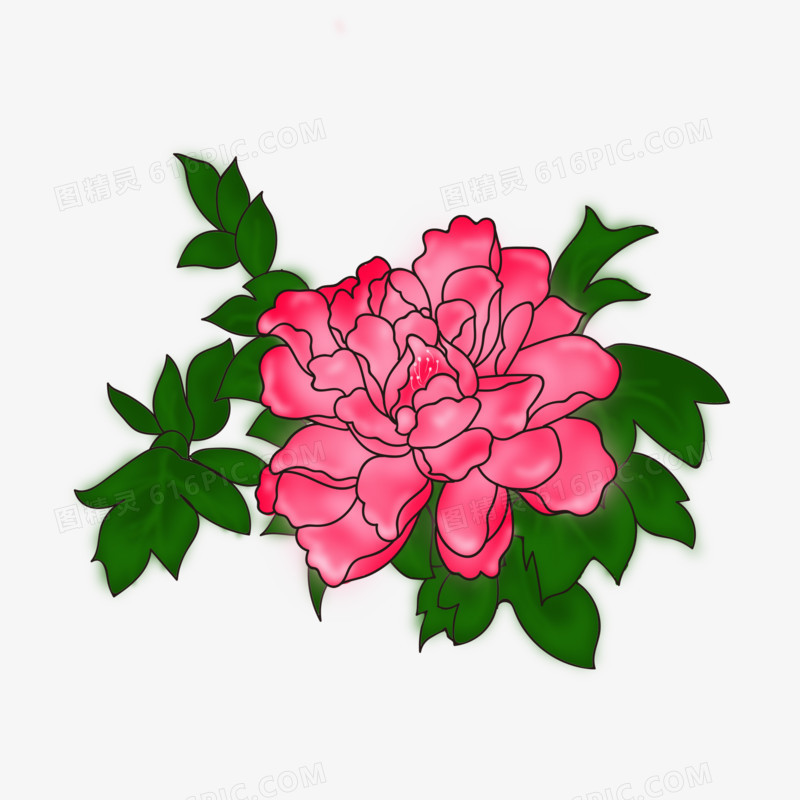 粉色国庆牡丹花素材手绘