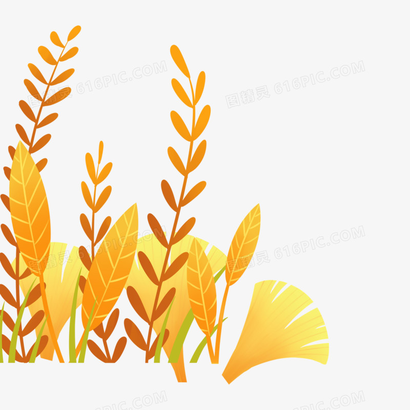 秋季小清新草丛