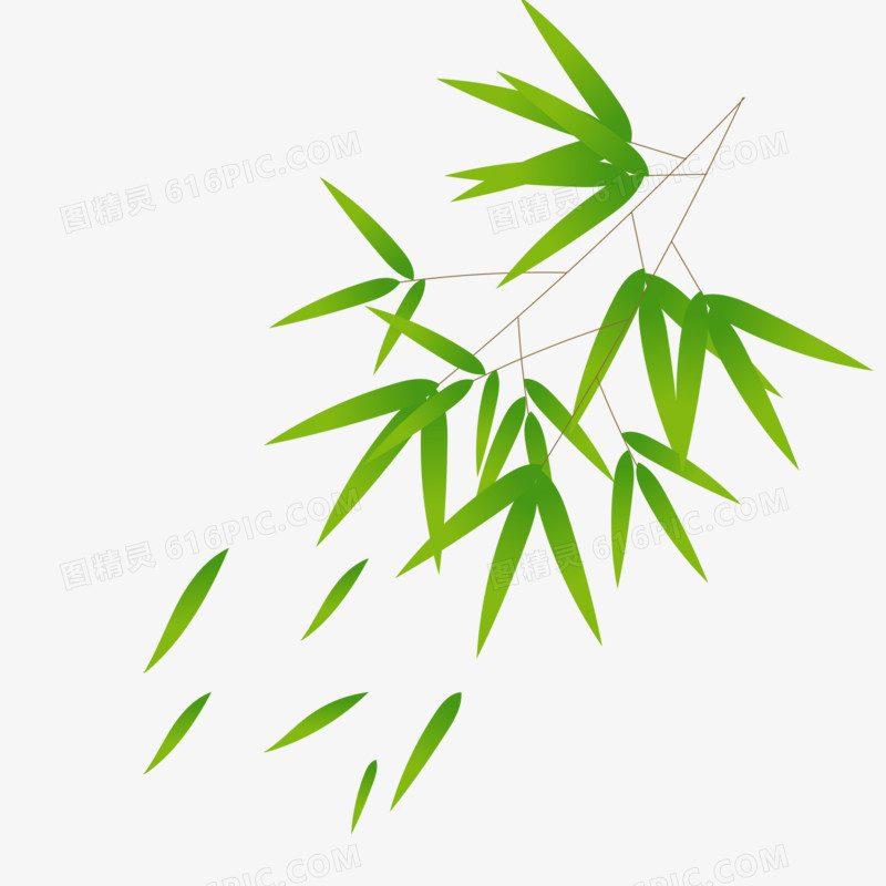 绿色植物竹叶树叶树枝png免抠矢量素材