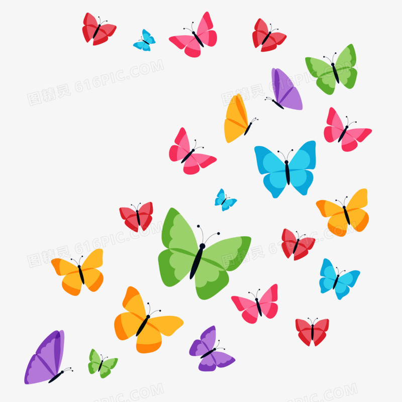 色彩缤纷飞舞的蝴蝶