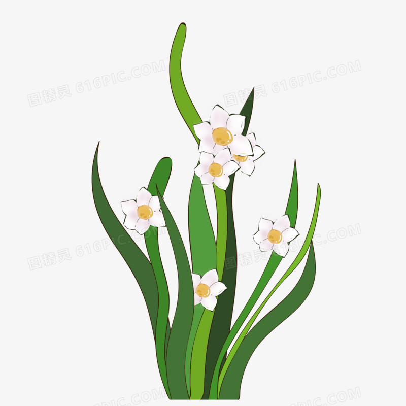 水仙花创意手绘