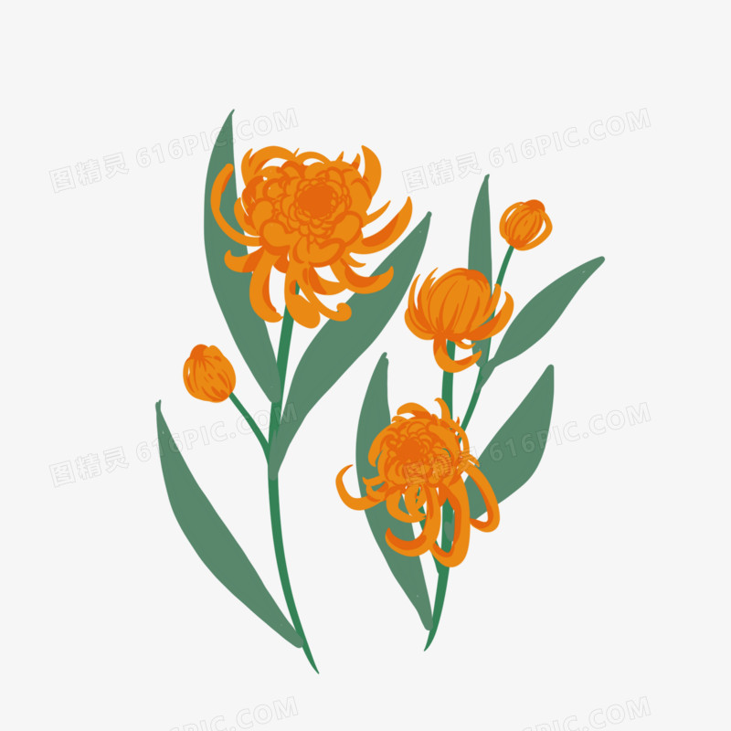 手绘卡通菊花免抠元素