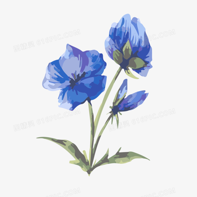 花植物水彩系列水彩植物中国风鲜艳蓝紫色花朵叶子