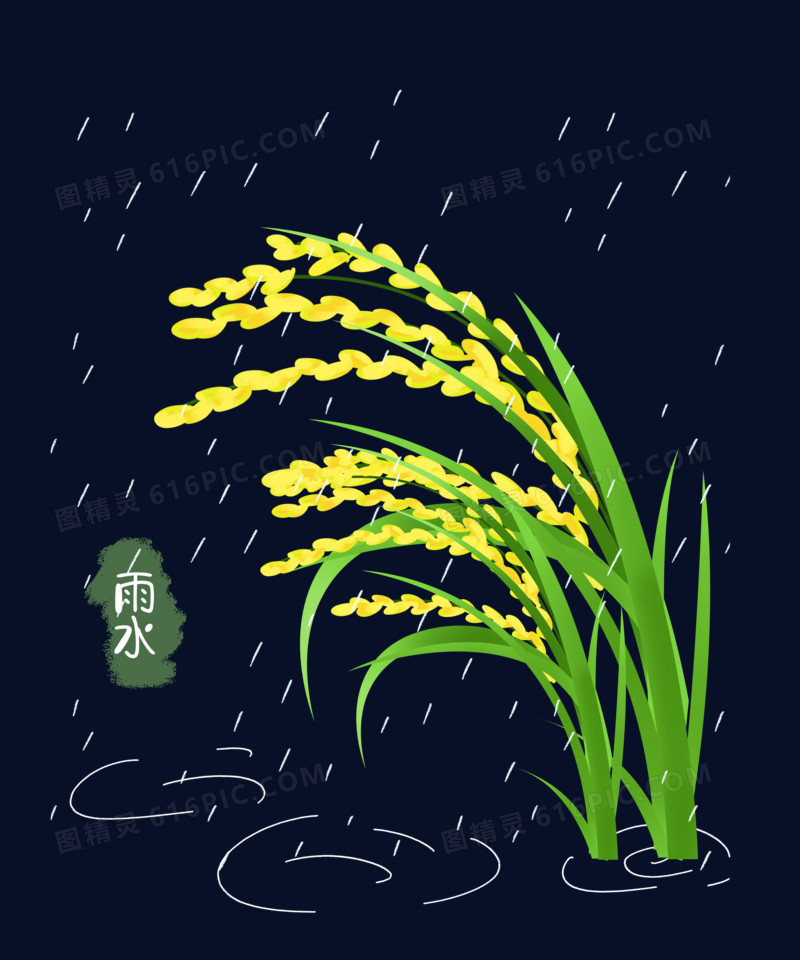 雨水之手绘绿色植物水稻