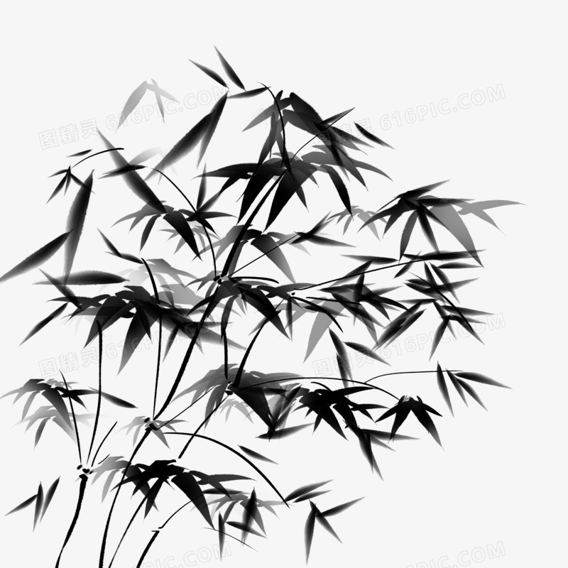 水墨黑白植物竹子