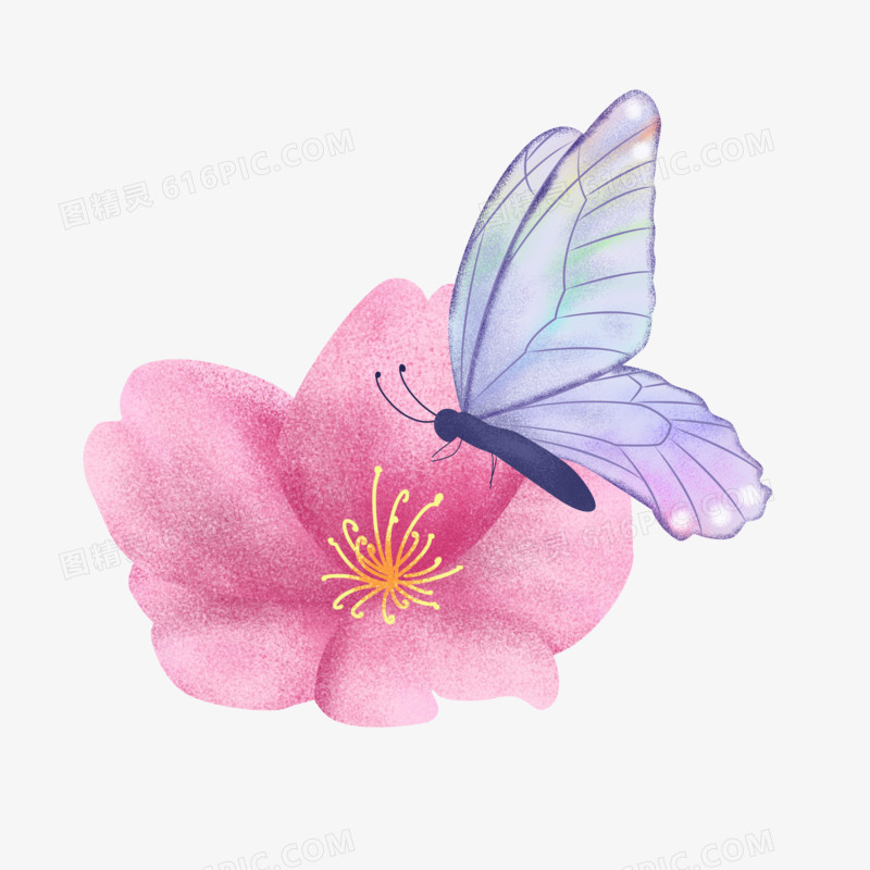 立春之手绘花卉与蝴蝶组合元素