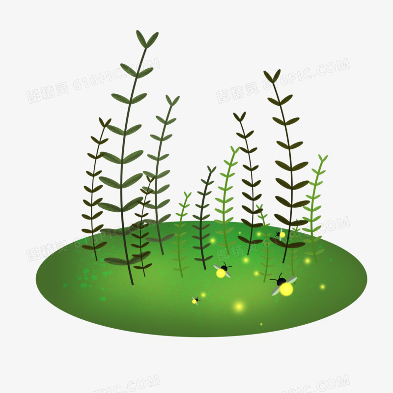 惊蛰节气草地上的萤火虫