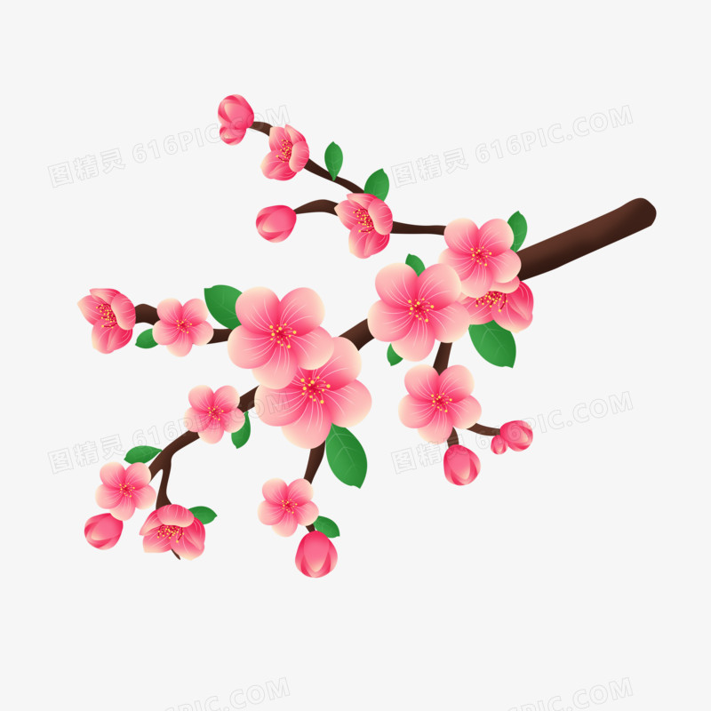 立春之手绘盛开的粉色桃花