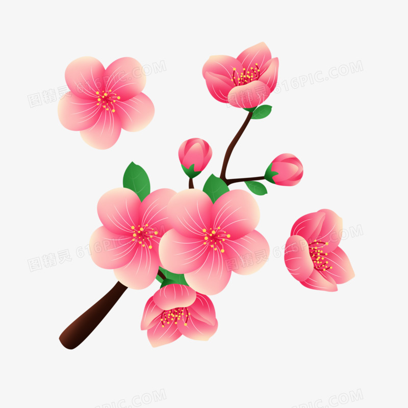 立春之手绘盛开的粉色桃花