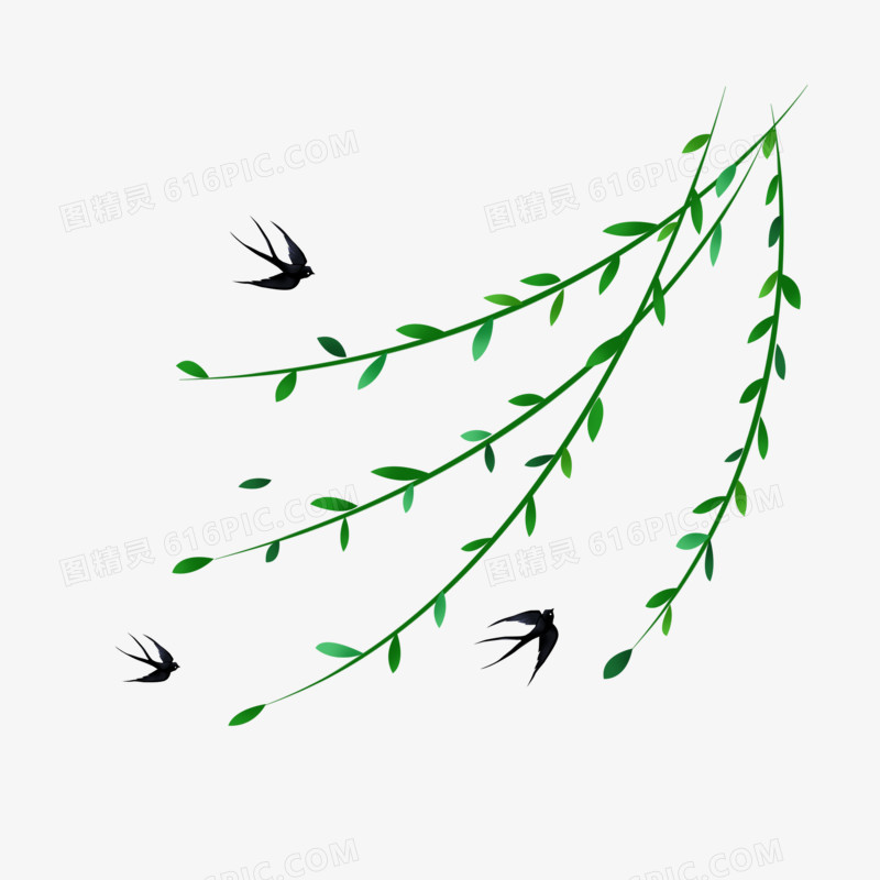 立春之手绘植物柳树与燕子