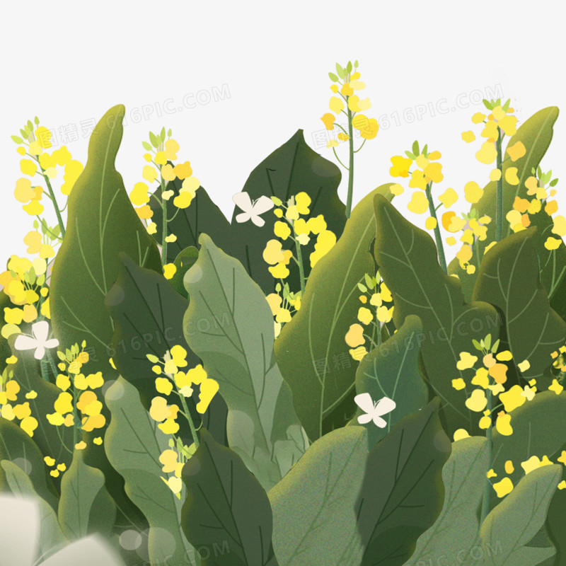 卡通创意清新黄色花卉夏季元素