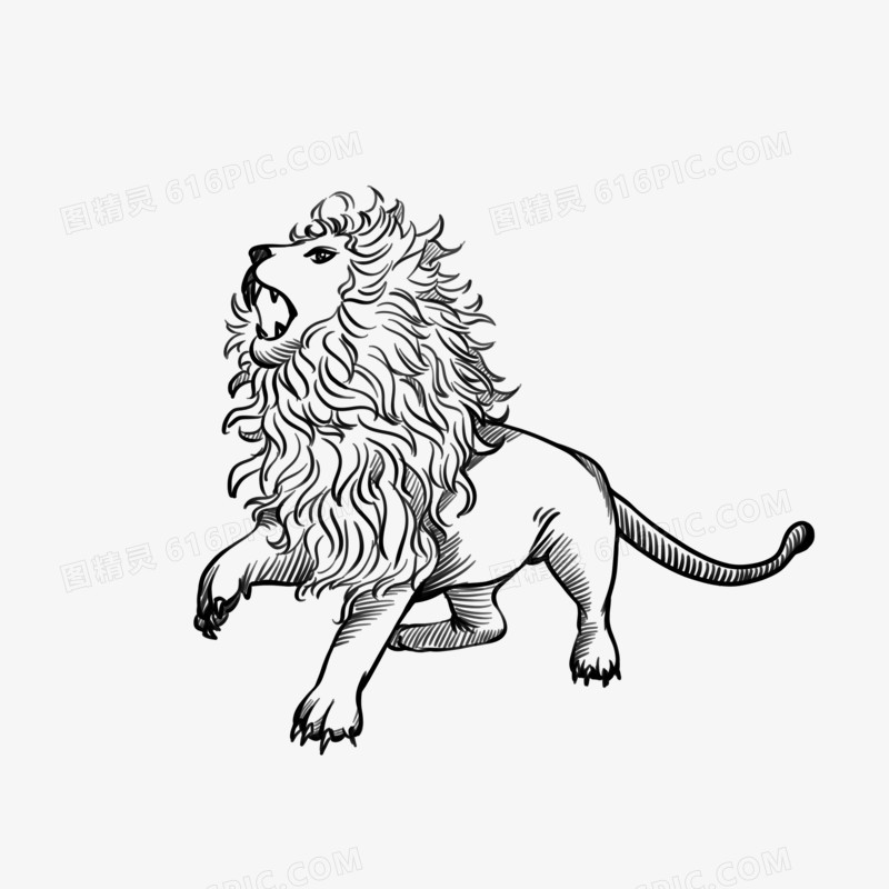 野生动物狮子手绘线条元素