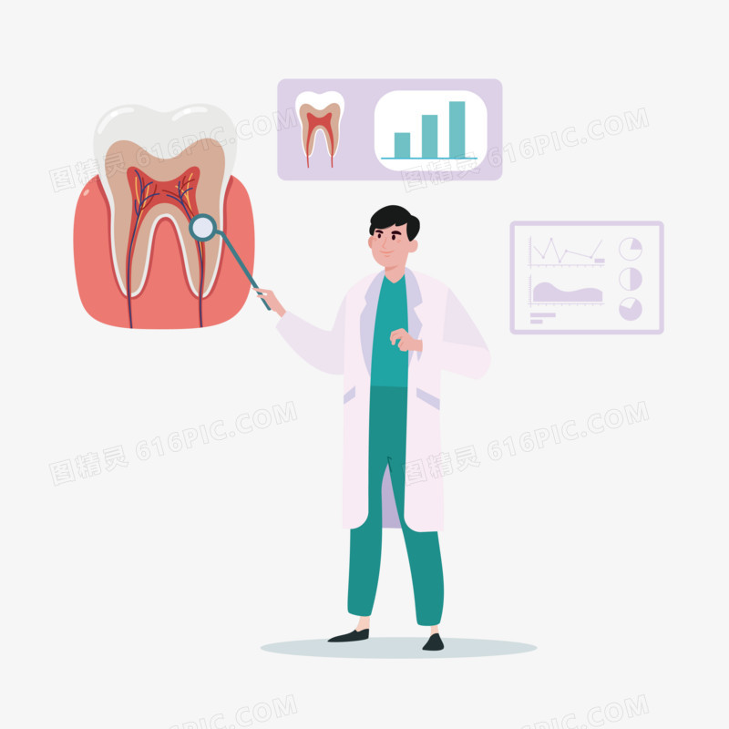 牙齿健康结构讲解守护插画元素
