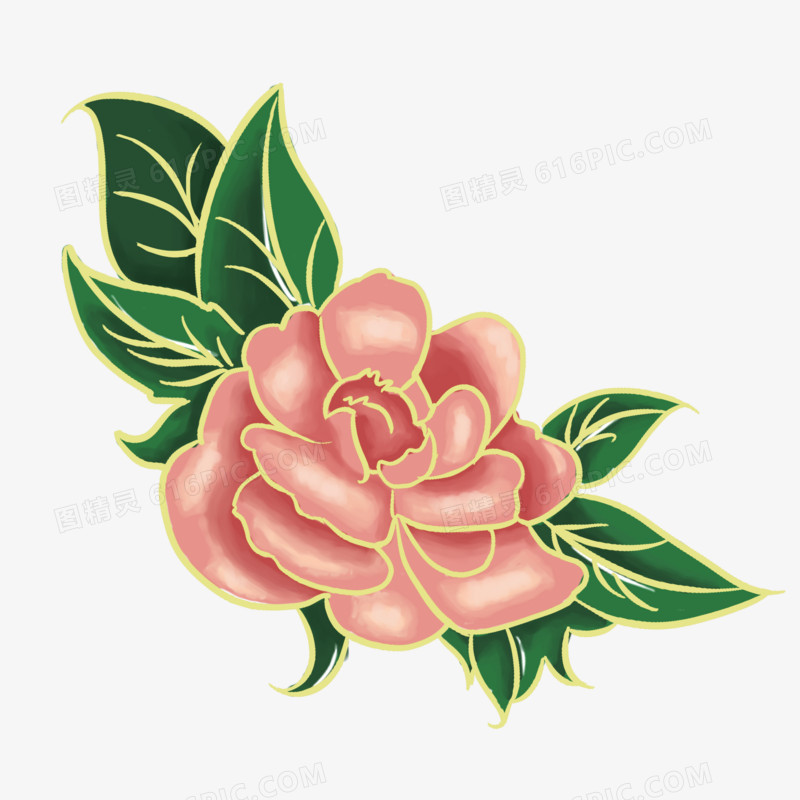 粉色蔷薇花卉金边植物手绘素材