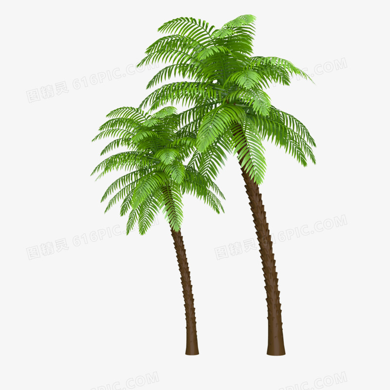 绿色简约C4D立体创意椰子树装饰