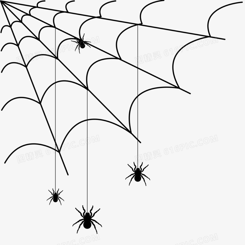 蜘蛛蜘蛛网装饰元素
