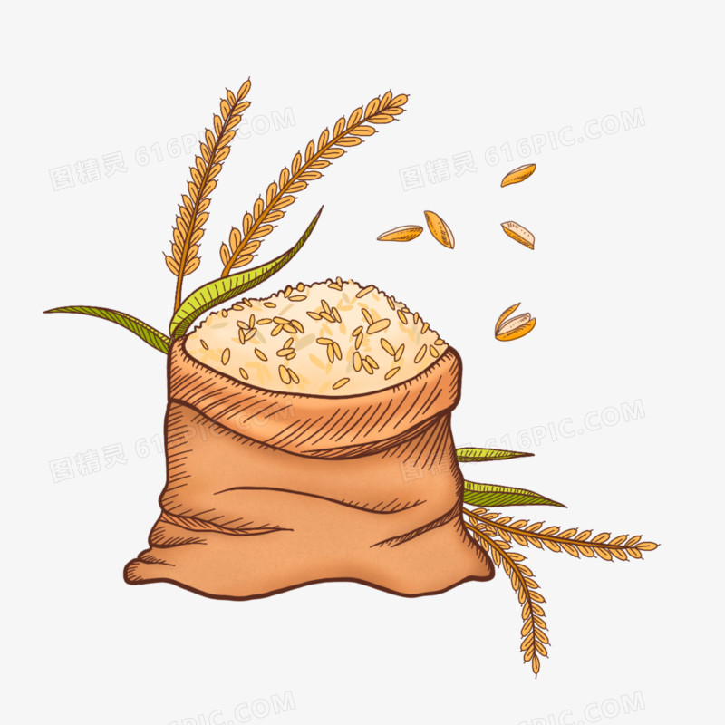粮食农作物大米水稻插画元素