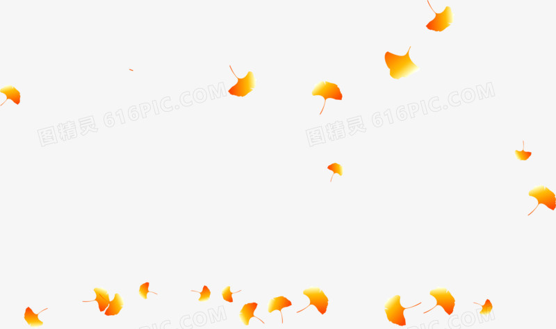 不规则黄色秋天的银杏树叶