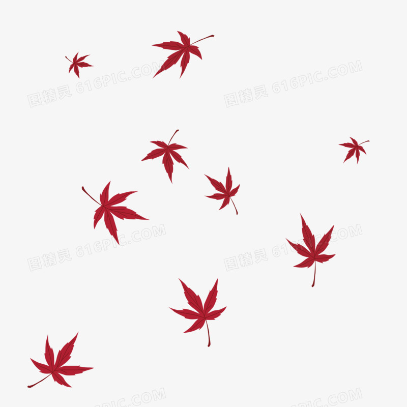 红色秋天飘落的枫叶免抠元素