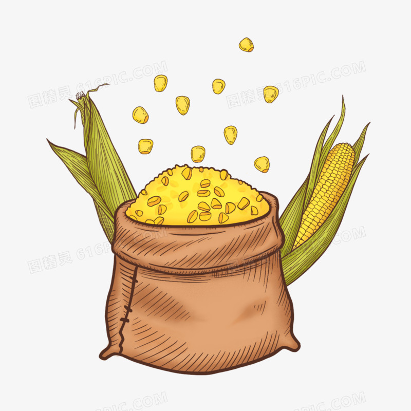 粮食农作物大米水稻玉米插画元素