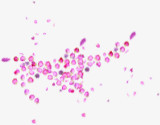 粉色发散花瓣七夕情人节海报背景