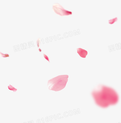花瓣漂浮粉色装饰