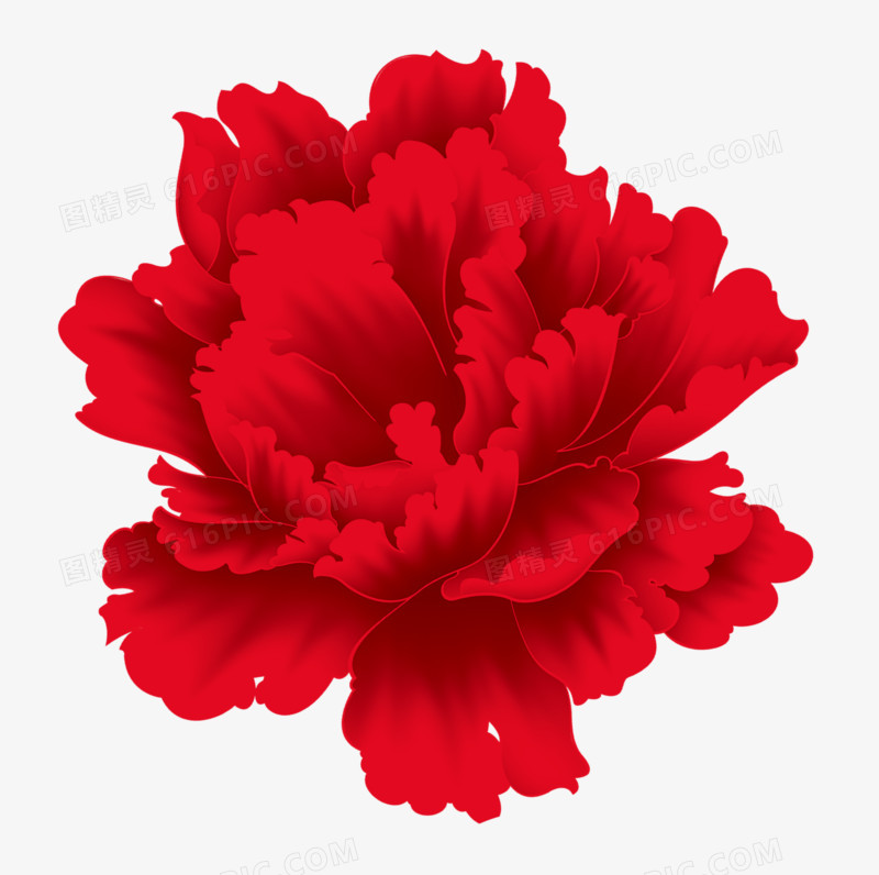 春节红色牡丹花朵