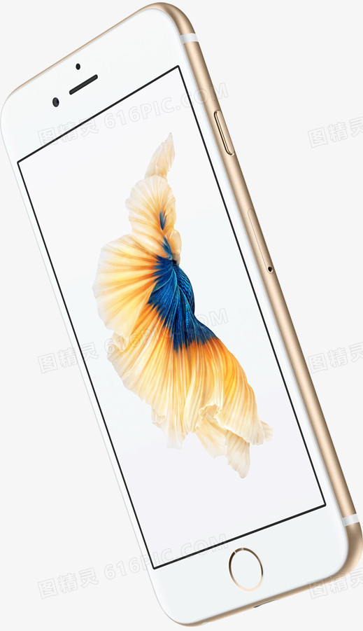 金色苹果手机模型产品图iPhone手机iPhone6侧面