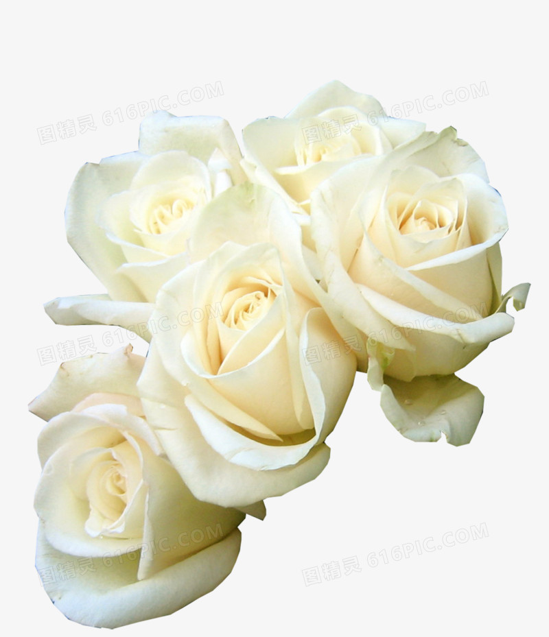 白色浅黄色小清新玫瑰花花束
