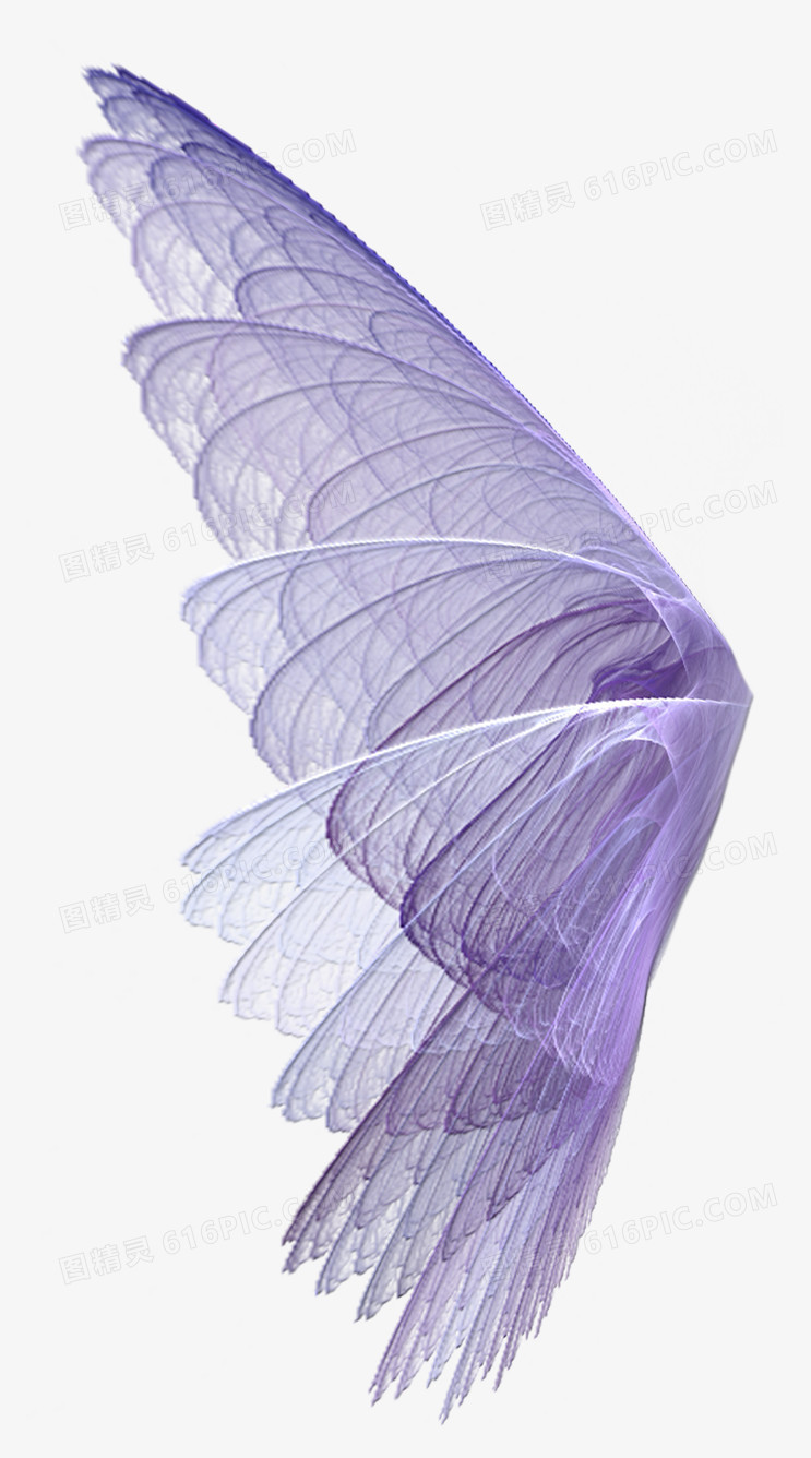 羽毛飘落素材  卡通梦幻紫色翅膀