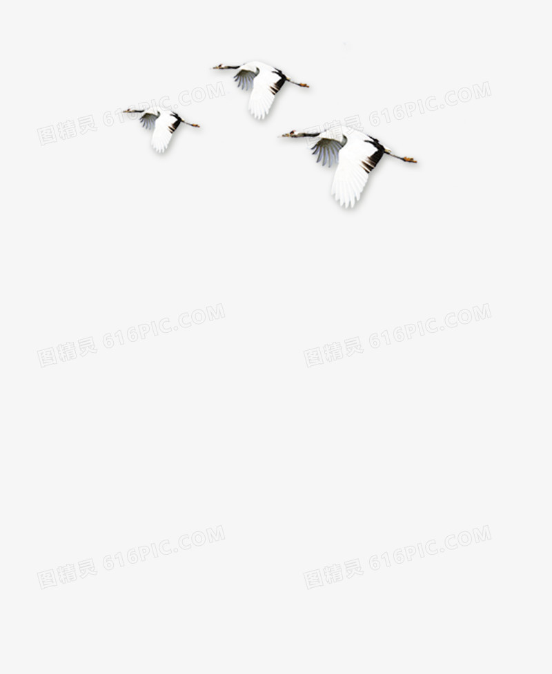 中国风水墨，鸟，鹤，飞翔
