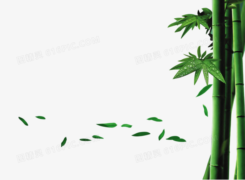 绿竹手绘图片  端午竹子落叶