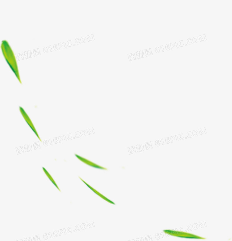 包粽子绿色漂浮树叶